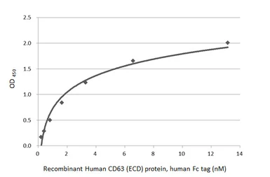 Human CD63 (ECD) protein, human Fc tag. GTX144107-pro
