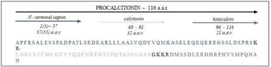 Anti-Calcitonin antibody [13f2] used in  (). GTX14818