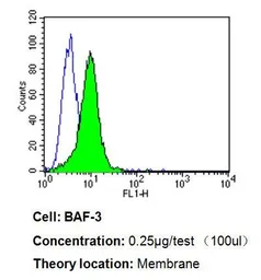 Anti-CD58 antibody [TS2/9] used in Flow cytometry (FCM). GTX15669