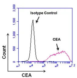 Anti-CD66e antibody [1106] used in Flow cytometry (FCM). GTX15677