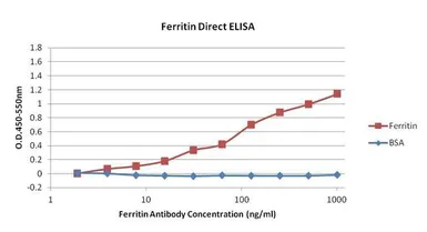 Anti-Ferritin antibody [521] used in ELISA (ELISA). GTX15742