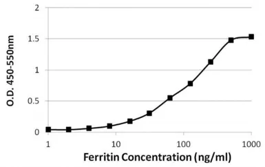 Anti-Ferritin antibody [521] used in ELISA (ELISA). GTX15742