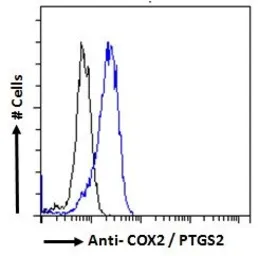 Anti-COX2 antibody, C-term used in Flow cytometry (FCM). GTX15839