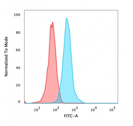 Anti-beta Catenin antibody [CTNNB1/2030R] used in Flow cytometry (FCM). GTX17706
