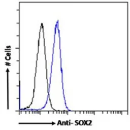 Anti-SOX2 antibody used in Flow cytometry (FCM). GTX18149