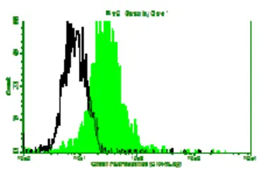 Anti-l-Myc antibody [CHALU2] used in Flow cytometry (FCM). GTX18704