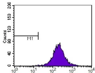 Anti-SR-BI antibody used in Flow cytometry (FCM). GTX20003