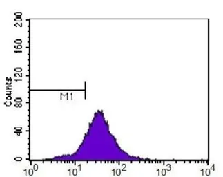 Anti-CDKN2A / p14ARF antibody used in Flow cytometry (FCM). GTX20470