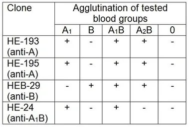 Anti-Blood Group A antigen antibody [HE-193] used in Agglutination (Agglutination). GTX22521