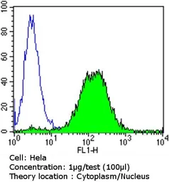 Anti-Glucocorticoid Receptor antibody [BuGR2] used in Flow cytometry (FCM). GTX22768