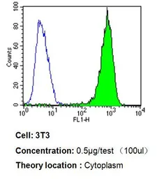 Anti-p23 antibody [JJ3] used in Flow cytometry (FCM). GTX22814
