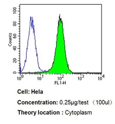 Anti-p23 antibody [JJ3] used in Flow cytometry (FCM). GTX22814