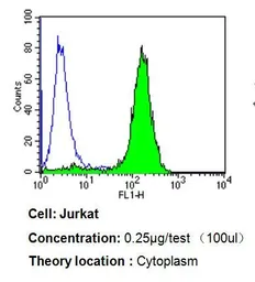 Anti-p23 antibody [JJ3] used in Flow cytometry (FCM). GTX22814
