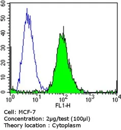 Anti-Calmodulin antibody [2D1] used in Flow cytometry (FCM). GTX22860