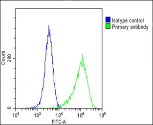 Anti-FGFR2 antibody used in Flow cytometry (FCM). GTX25476