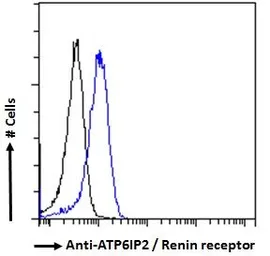 Anti-Renin Receptor antibody used in Flow cytometry (FCM). GTX25959