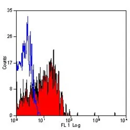 Anti-CD62E + CD62P antibody [1.2B6] used in Flow cytometry (FCM). GTX26630