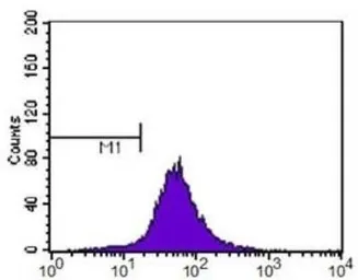 Anti-ABCA1 antibody used in Flow cytometry (FCM). GTX27360