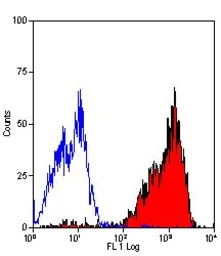 Anti-CD44 antibody [F10-44-2] used in Flow cytometry (FCM). GTX30725