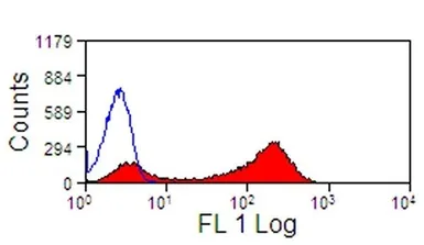 Anti-CD13 antibody [CVS19] used in Flow cytometry (FCM). GTX31238