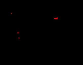 Anti-Pannexin 1 antibody used in IHC (Paraffin sections) (IHC-P). GTX31510