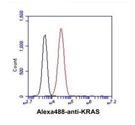 Anti-Ras antibody [AT2F8] used in Flow cytometry (FCM). GTX31957