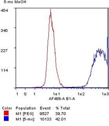 Anti-5-Methylcytosine / 5-mC antibody [RM231] used in Flow cytometry (FCM). GTX33606