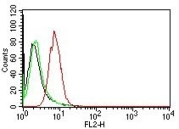 Anti-Cyclin D1 antibody [CCND1/809] used in Flow cytometry (FCM). GTX34617