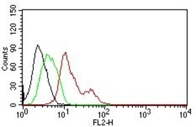 Anti-Estrogen Receptor alpha antibody [ER506] used in Flow cytometry (FCM). GTX34710