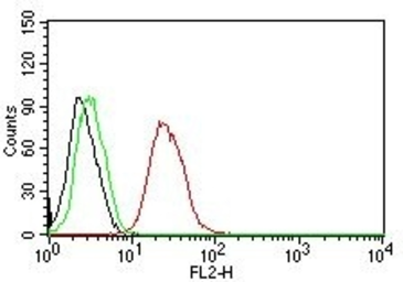 Anti-Estrogen Receptor beta antibody [ERb455] used in Flow cytometry (FCM). GTX34711