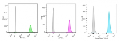 Anti-Nucleolin antibody [NCL/902] used in Flow cytometry (FCM). GTX34914