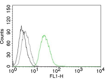 Anti-ODC antibody [ODC1/485] used in Flow cytometry (FCM). GTX34919