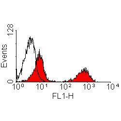 Anti-T Lymphocytes antibody [KEN-5] used in Flow cytometry (FCM). GTX38978