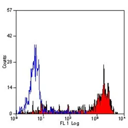 Anti-Ly-6B.2 antibody [7/4] used in Flow cytometry (FCM). GTX39795