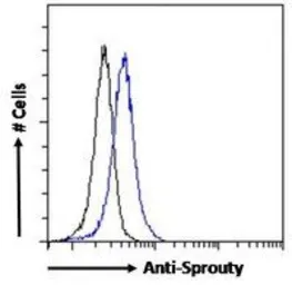 Anti-Sprouty 1 antibody, C-term used in Flow cytometry (FCM). GTX41020