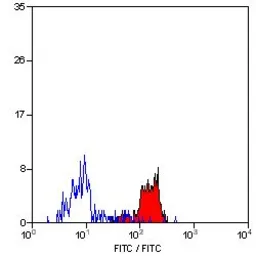 Anti-Dectin-1 antibody [2A11] used in Flow cytometry (FCM). GTX41473