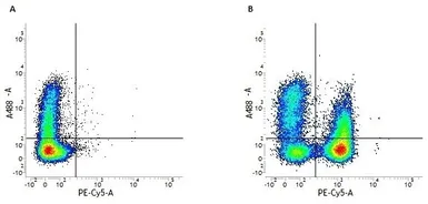 Anti-CD3 epsilon antibody [UCHT1] (Low endotoxin, azide free) used in Flow cytometry (FCM). GTX42102