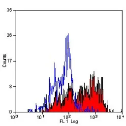 Anti-MSR1 antibody [2F8] used in Flow cytometry (FCM). GTX42280