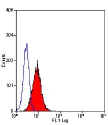 Anti-Fas Ligand antibody [10F2] (Low endotoxin, azide free) used in Flow cytometry (FCM). GTX42345