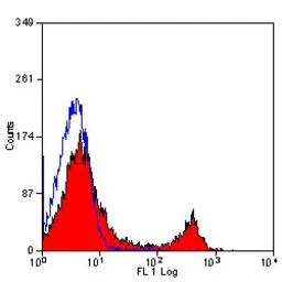 Anti-CD8 antibody [YTS169.4] (PE) used in Flow cytometry (FCM). GTX43021