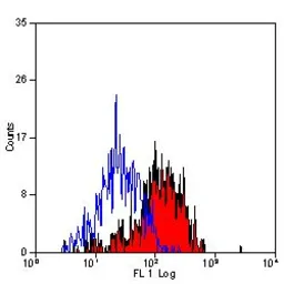 Anti-Dectin-1 antibody [2A11] (FITC) used in Flow cytometry (FCM). GTX43454