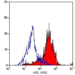 Anti-MSR1 antibody [2F8] (FITC) used in Flow cytometry (FCM). GTX43697