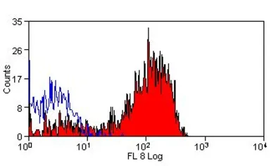 Anti-CD5 antibody [YKIX322.3] (APC) used in Flow cytometry (FCM). GTX44008
