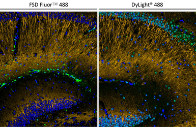 FSD Fluor&trade; Triple-Color (488/594/647) Antibody Labeling Kit. GTX440440