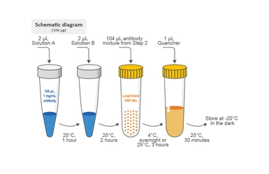 HRP Antibody Labeling Kit. GTX446209