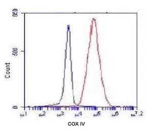 Anti-COX4 antibody [4D11-B3-E8] used in Flow cytometry (FCM). GTX49132