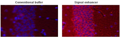 Signal+ for Immunostaining. GTX49998