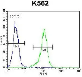 Anti-Hepatic lipase antibody used in Flow cytometry (FCM). GTX50912
