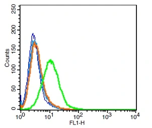 Anti-MCT8 antibody used in Flow cytometry (FCM). GTX51095