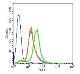 Anti-CXCR3 antibody used in Flow cytometry (FCM). GTX51532